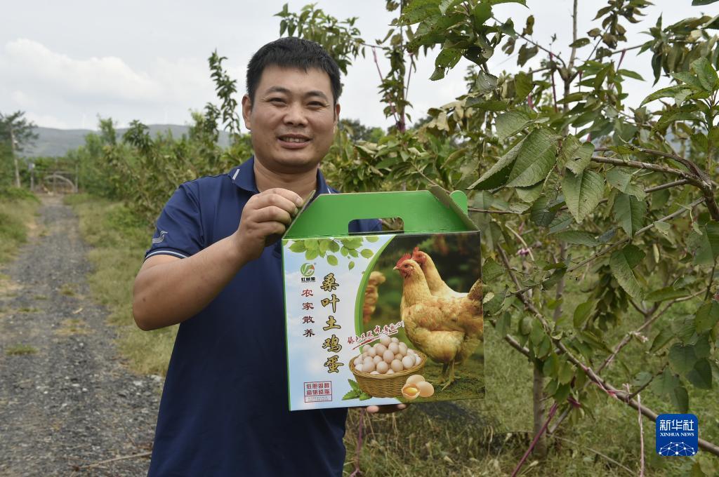 菠菜的论坛